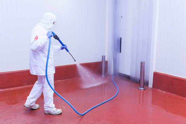 Best Fleet Vehicle Washing  in Hawthorn Woods, IL